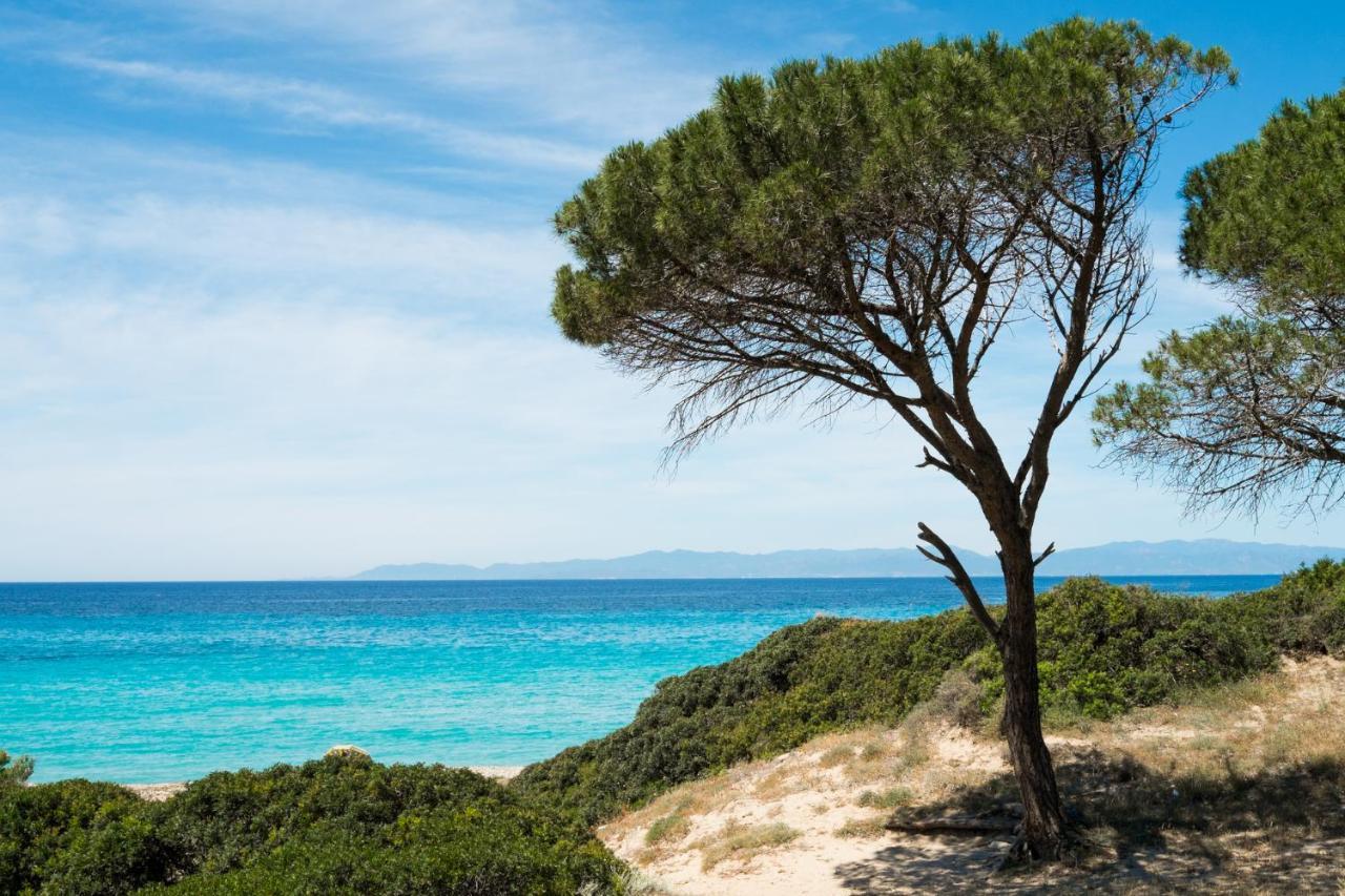 Appartamento con vista mare a Terramala Terra Mala Esterno foto
